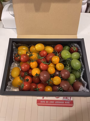 みんなの投稿の画像