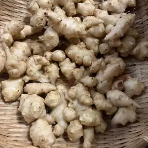 皮ごと食べれる「菊芋＝キクイモ」