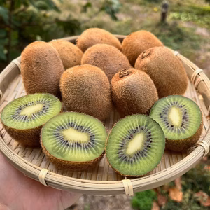 栄養満点★甘くてジューシーな島育ちグリーンキウイ★