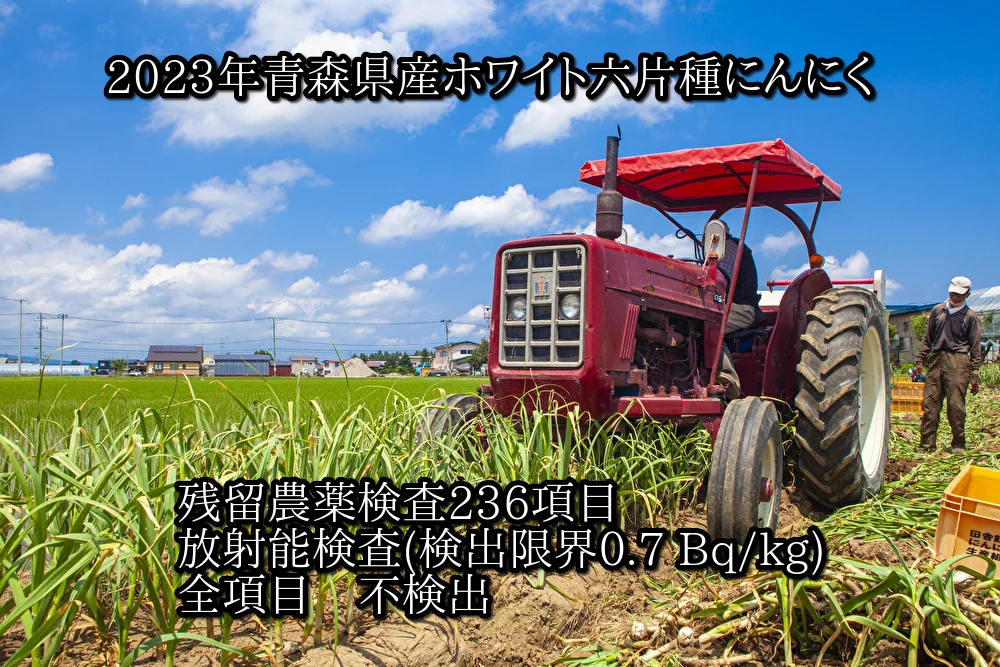 令和5年 新物 青森県産ホワイト六片種にんにく 1kg 中・小玉