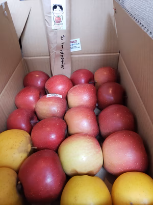 みんなの投稿の画像