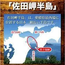 超訳あり！！愛媛県産デコ不知火10kg入（箱込）＊３月上旬発送