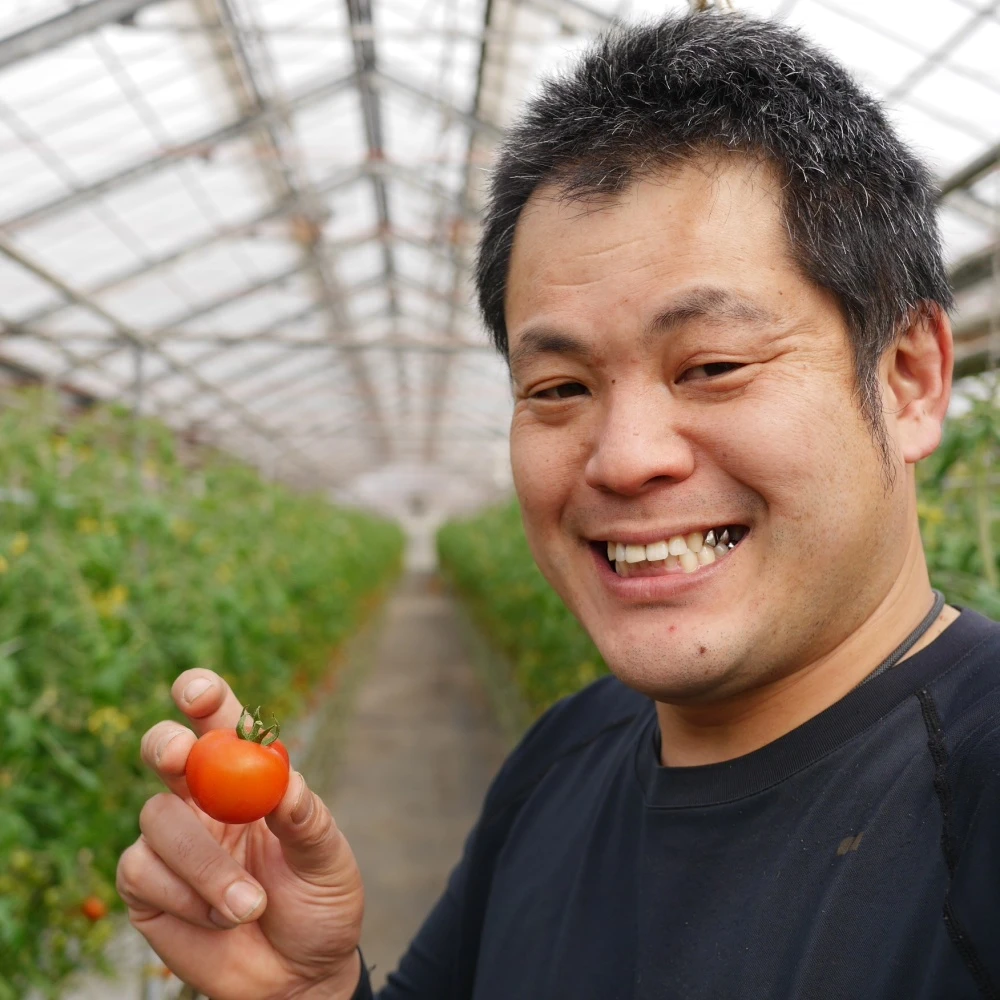 【M1.8】映える！最大22種類カラフルフルーツトマト 　たっぷり1.8㎏