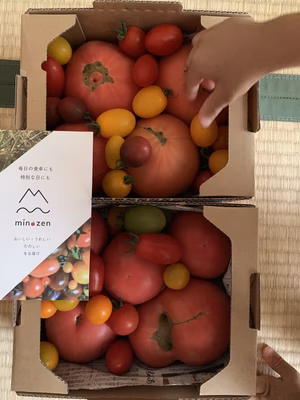 みんなの投稿の画像