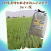 Pino farm「清らかな輝き米」～R7年産特別栽培米　彩のかがやき～