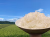 【新米】農薬・化学肥料不使用『コシヒカリ』白米10㎏【有機JAS】加賀米野菜基地