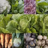 無農薬無化学肥料 信州伊那谷★旬の野菜セット【12月常温便】  