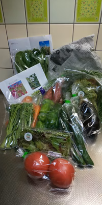 みんなの投稿の画像