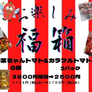 【福箱】お楽しみパック３８００円相当が２５００円!