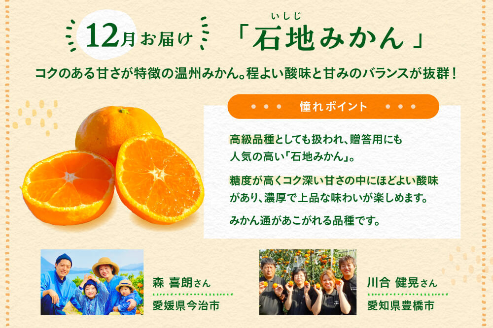 一度は食べてみたい4品種を厳選！「憧れみかん定期便」｜みかんの商品