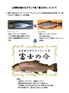 【山梨の鱒食べ比べ】富士の介＋甲州ワイン鱒 カットフィレセット