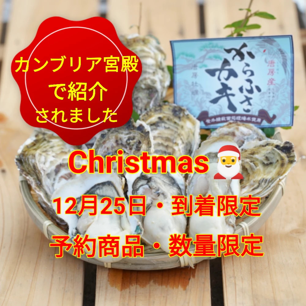 Christmas☆指定到着・限定商品【からふさカキ】