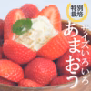 【産直極メシ出演話題】じゃらん3年連続グランプリあまおうたっぷり4パック