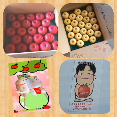 みんなの投稿の画像