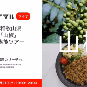 【印度カリー子さんとのコラボ商品】青山椒×キーマカレー10種のスパイスセット