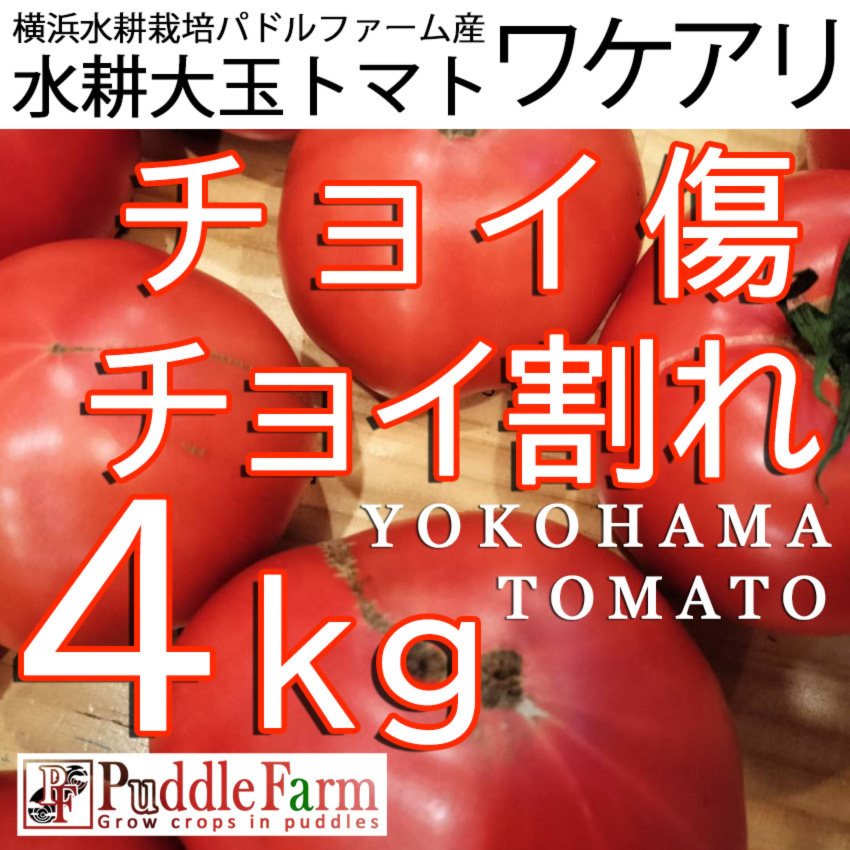 チョイ傷、チョイ割れ、水耕大玉トマト4kg（みそら） 横浜水耕パドル