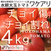 チョイ傷、チョイ割れ、水耕大玉トマト4kg（みそら）　横浜水耕パドルファーム産