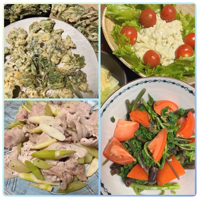 みんなの投稿の画像