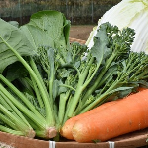 【専用商品】旬の野菜（有機、農薬不使用の野菜６品）と有機コシヒカリ２kgのセット