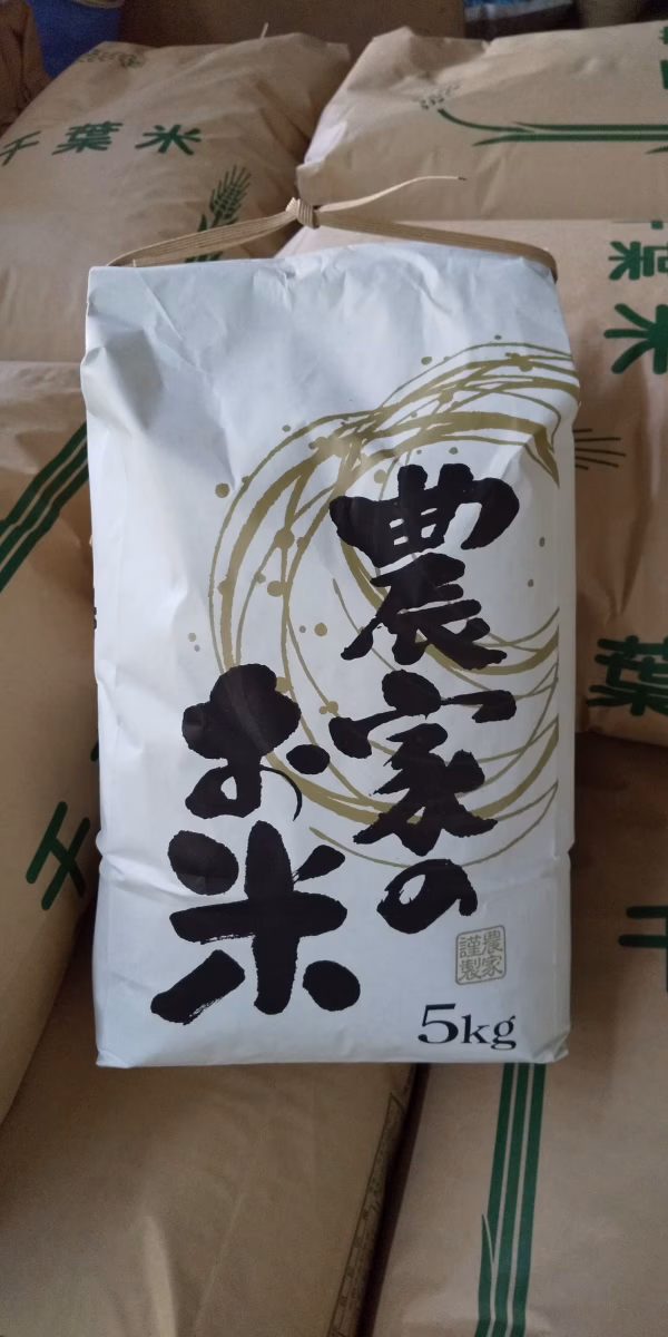 令和2年度  千葉県産  コシヒカリ  精米5キロ  期間限定  福袋