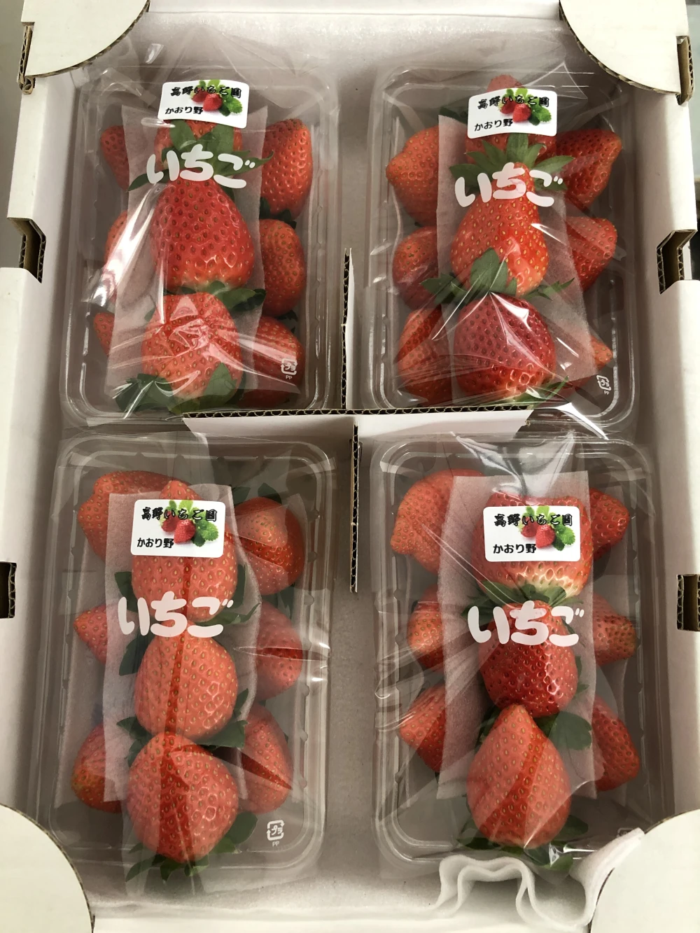 ジューシー果汁しっかりいちご「かおり野」4パック入り