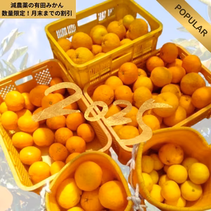 農家直送！お子さまにも安心の【減農薬・特別栽培】有田みかん 1kg