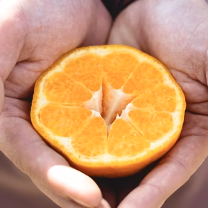 【希少・プチプチ食感】はるみ 春の極上柑橘