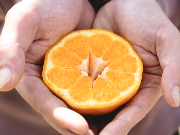【希少・プチプチ食感】はるみ 春の極上柑橘