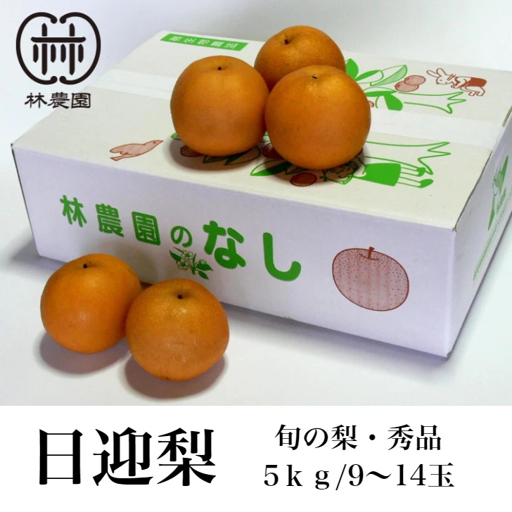 冬の梨・日迎梨（ギフト・林農園オリジナル品種）　約5kg(12〜7玉)