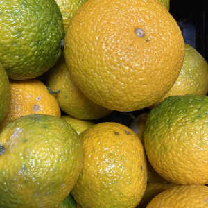 『酸味なんて無い❗️あまみしかないミカン❣スイートスプリング』キズあり3kg入り