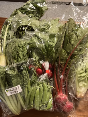 みんなの投稿の画像