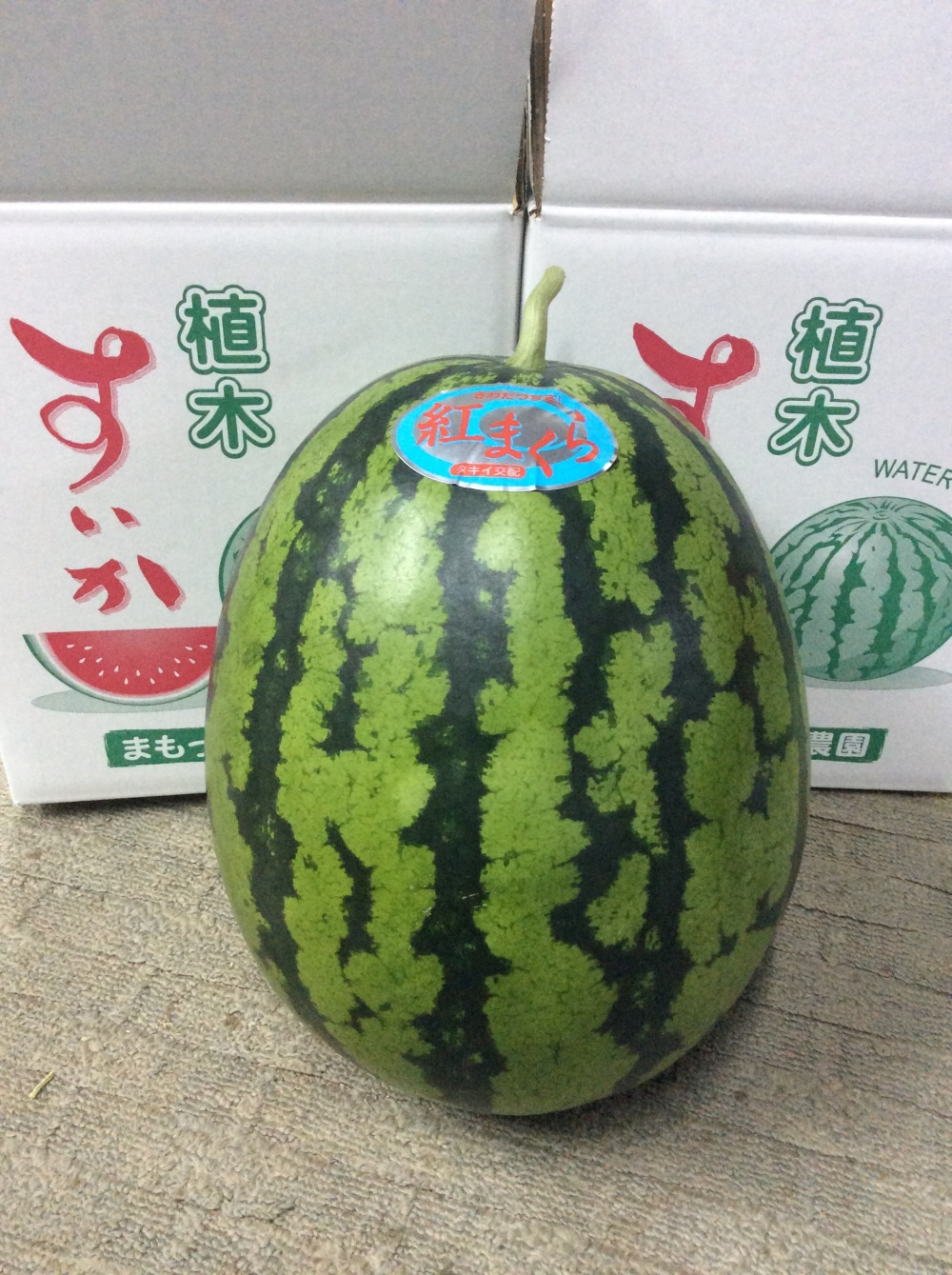 熊本県熊本市｜まもっちゃん農園｜坂口正朗さんの生産者プロフィール