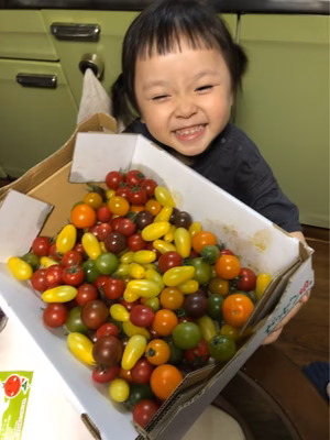 みんなの投稿の画像