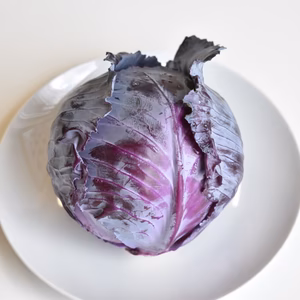 和らぎ農法　紫キャベツ（1玉）