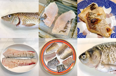 みんなの投稿の画像