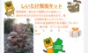 ‼️しいたけ栽培キット‼️お家できのこ狩り♪