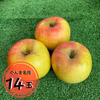 【贈答用】りんご（ぐんま名月）14玉箱入