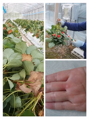 みんなの投稿の画像