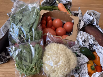 みんなの投稿の画像