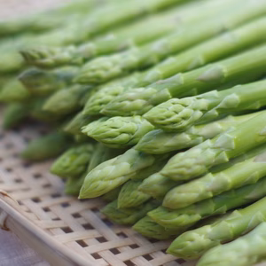 ☆お試し価格☆ジューシーな甘さ！真夏の博多アスパラガスLサイズ300g