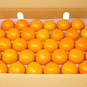 【こいとま】フルーツゴールドギャバリッチ 約2.5kg入り