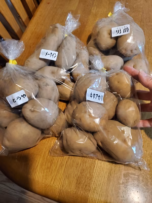 みんなの投稿の画像