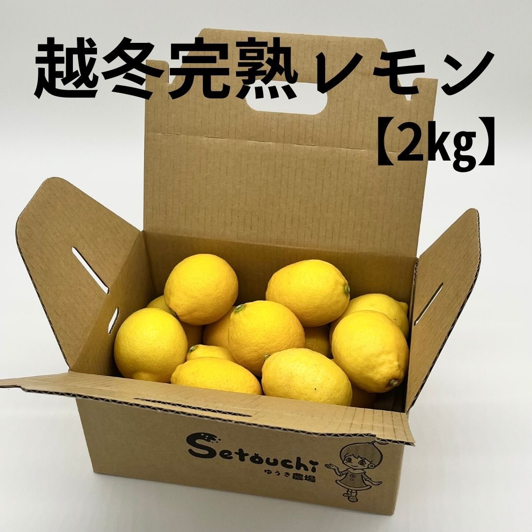 越冬完熟レモン 瀬戸内産国産レモン 訳なし L・Mサイズ 【2㎏・5㎏・10