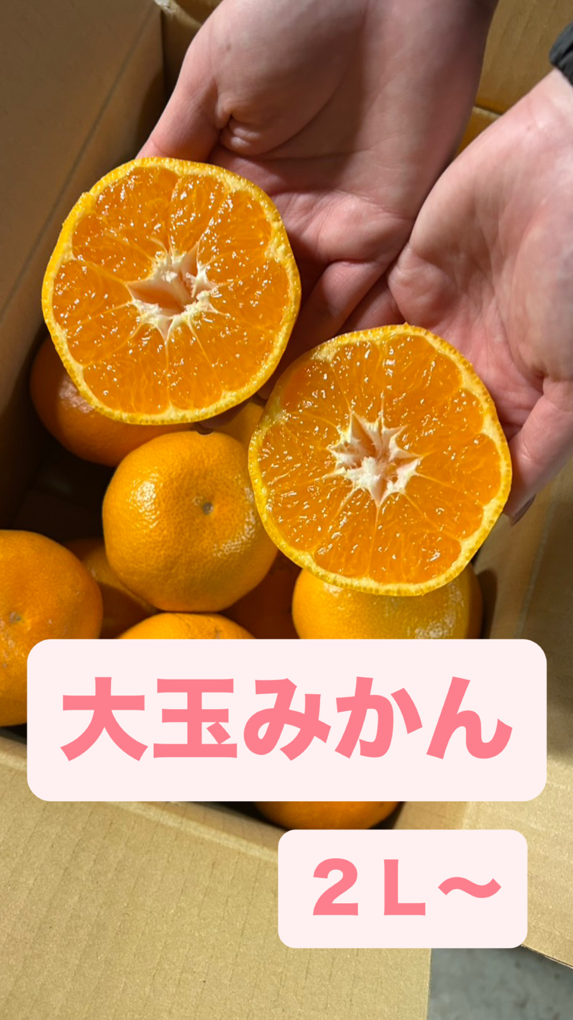 専用♥お年玉超特価❤みかん♥もちぷに♥規格外…大きなブランケット☆Ｗボアケット⭐ 専用❤みかん❤暖かモチふわ❤ニット×とろボア❤特大ブランケット