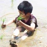 佐藤大輔 | エバーグリーン農場