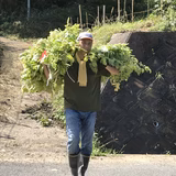 加藤裕則 | 奈良市東部エゴマの郷