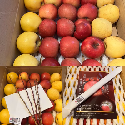 みんなの投稿の画像