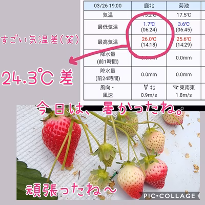 みんなの投稿の画像