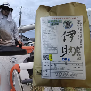 【10月～定期】R7年産 無洗白米 残留農薬11年連続ゼロ挑戦 コシ伊助 5Ｋｇ
