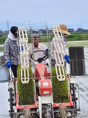 みんなの投稿の画像